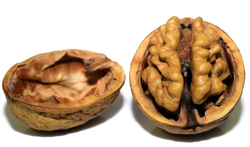 imagen 1.jpg